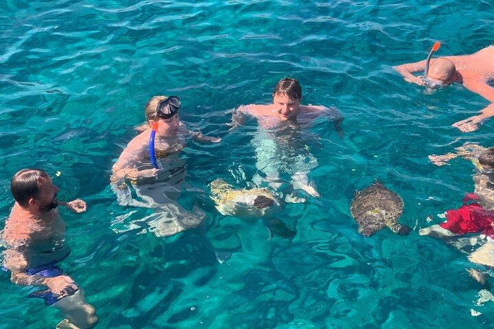 Protaras : Croisière découverte de tortues Blue Lagoon