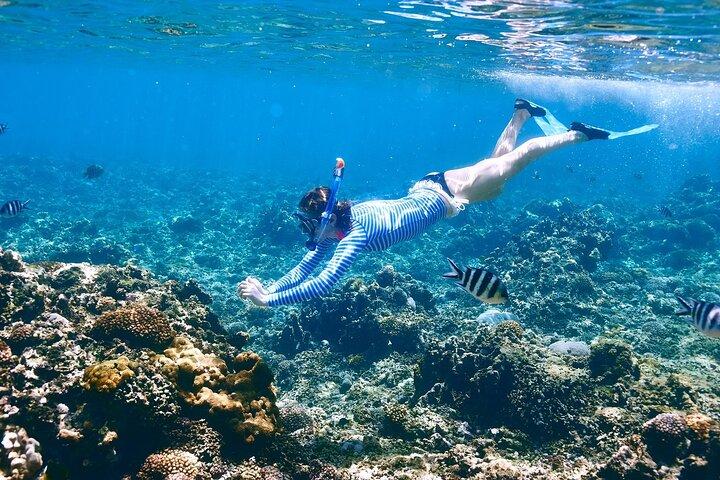 Gita sull'isola di Tiran, snorkeling, immersione singola e pranzo–Sharm El Sheikh