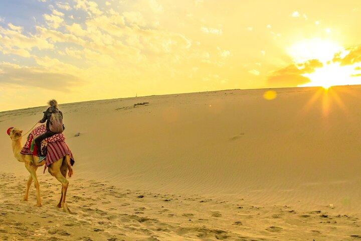Safari privé au lever du soleil à Abu Dhabi avec balade à dos de chameau