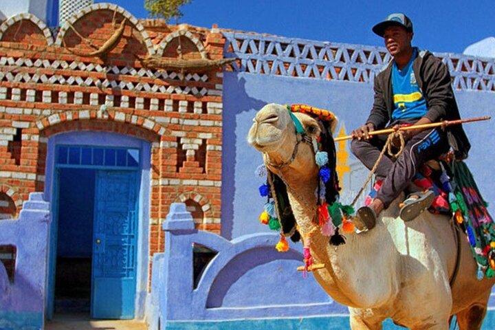 Tour privado desde Aswan a Philaetemple y Nubianvillage en barco