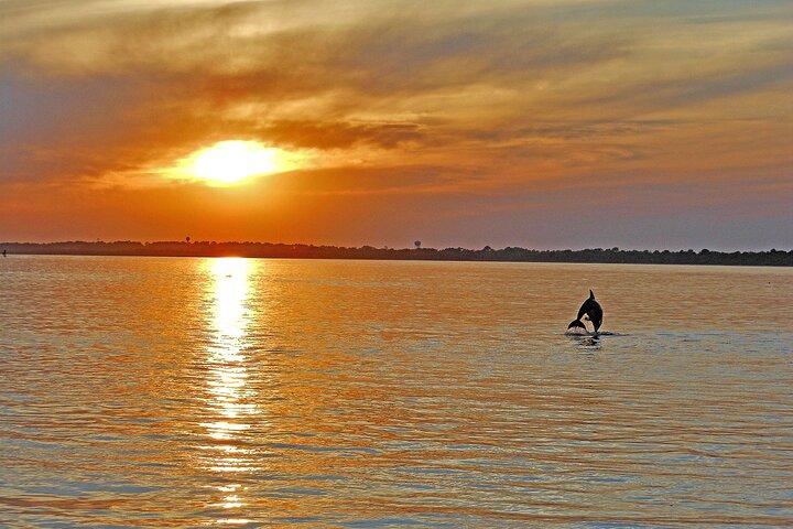 Croisière sur la faune au coucher du soleil le long d'Assateague et de l'île de Chincoteague