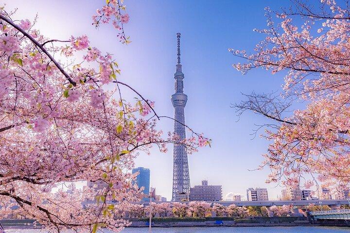 ローカルガイド付き東京浅草半日ウォーキングツアー