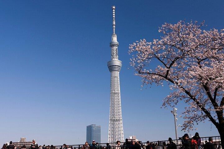 ローカルガイド付き東京浅草半日ウォーキングツアー