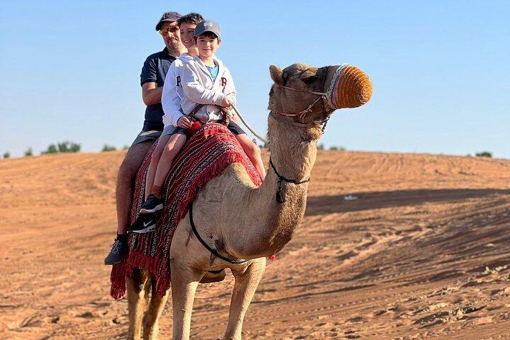 Safari matinal dans le désert d'Abu Dhabi - Voiture privée