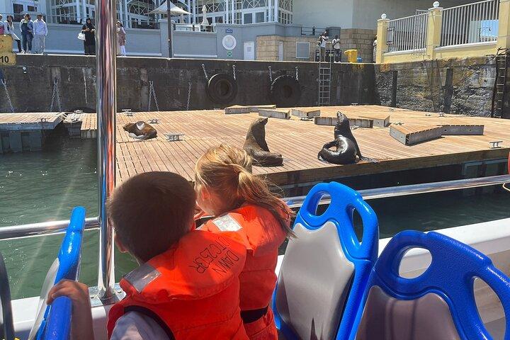 30 Minute Harbour Cruise in Cape town