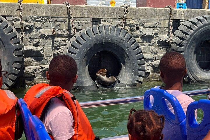 30 Minute Harbour Cruise in Cape town