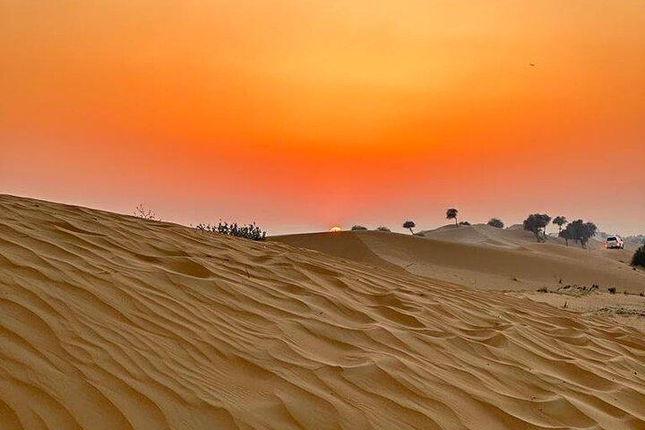 4 - Timer morgen Desert Safari Dubai med Dune Bashing & Camel Ride