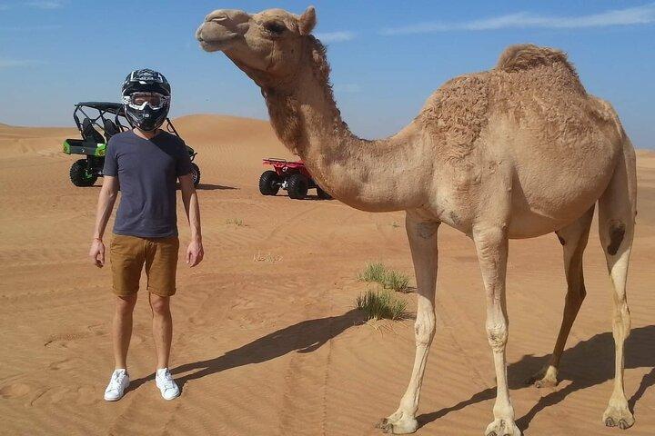 4 - Timer morgen Desert Safari Dubai med Dune Bashing & Camel Ride