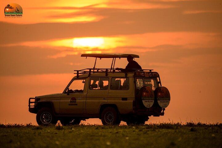 7 dagars Kenya Classic Wildlife Safari