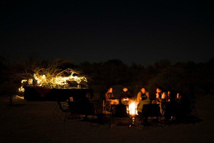 天文ツアー「アタカマの夜の下」