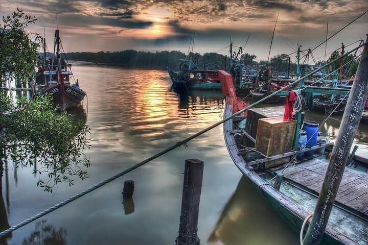 Kuala Selangor Fireflies Tour with Boat Ride & Monkey Encounter