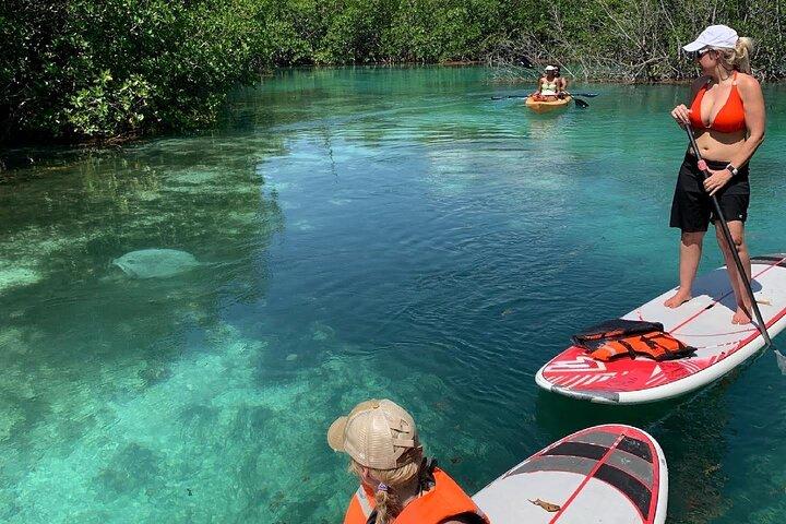Tour en Kayak de Paddleboard en Cancún