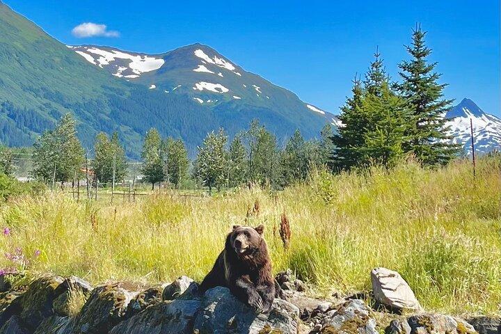 Ultieme zomertour door de natuur in Anchorage