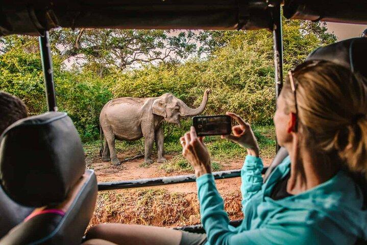 Mirissa/Galle/Tangalle per Suttle Ella a Yala/Udawalawe Safari