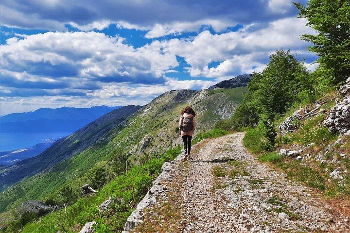 Lovcen mountain Circle Panoramic - Rutas de senderismo en Montenegro