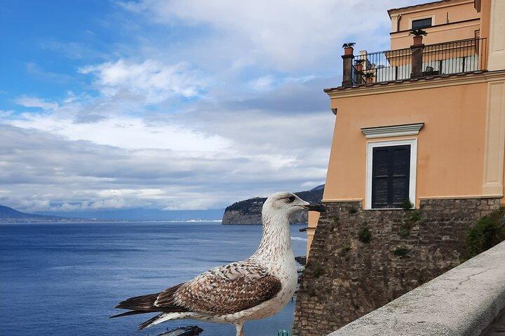 Sorrento grand tour utanför allfartsvägarna med hisnande landskap