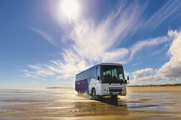 Tour naar Nieuw-Zeeland in het verre noorden inclusief 90 mijl strand en Cape Reinga vanuit Paihia