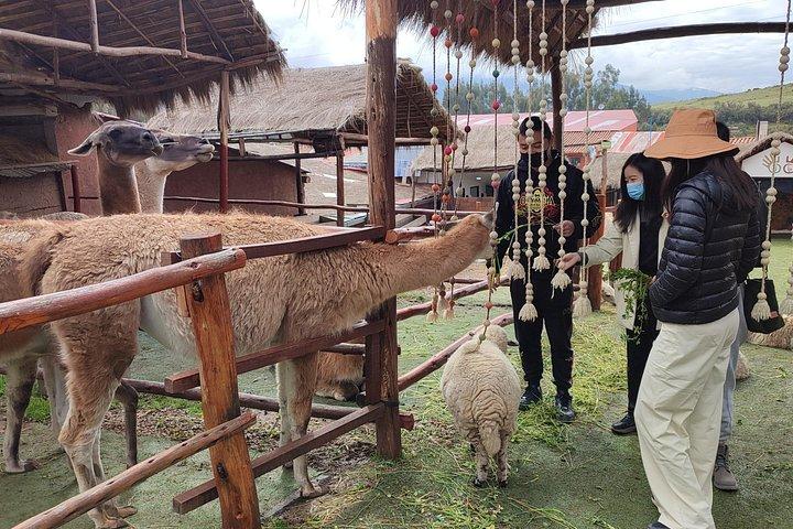 マチュピチュでの2日間の聖なる谷のプライベートツアーと日の出