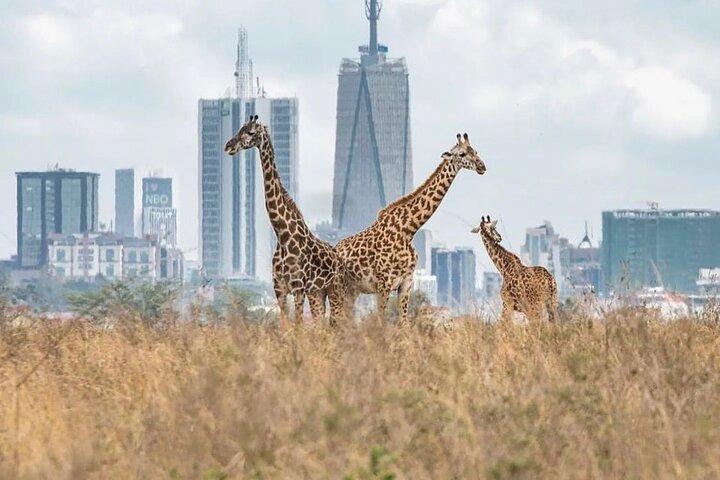 Visite privée du parc national de Nairobi et de l'usine de perles