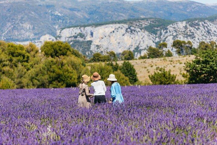 Tour privato delle gole del Verdon e dei campi di lavanda a Nizza