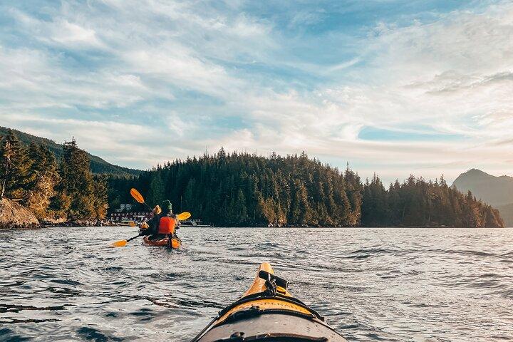 Isola di Vancouver: tour in kayak di mezza giornata da Telegraph Cove