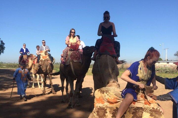 Agadir Camel Ride experience With Barbecue