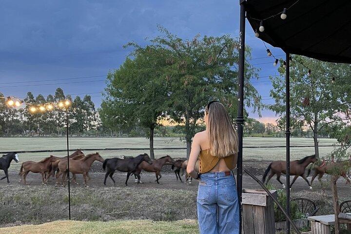 Argentina Polo Experience by La Guapeada Polo