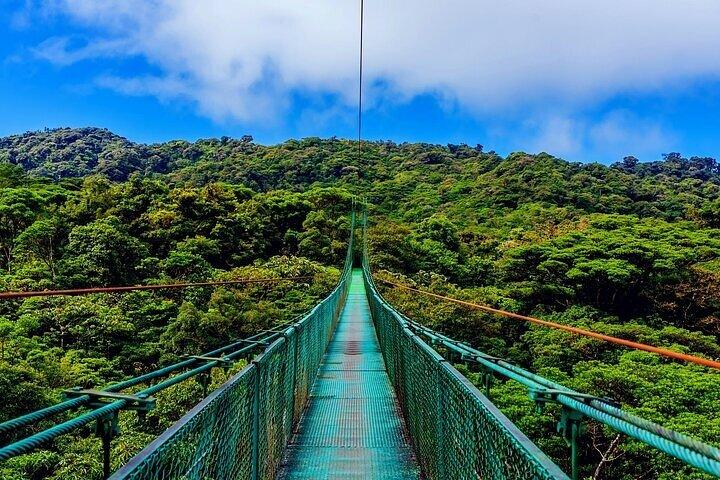 1 visite privée complète du volcan Arenal + sources chaudes de Baldi