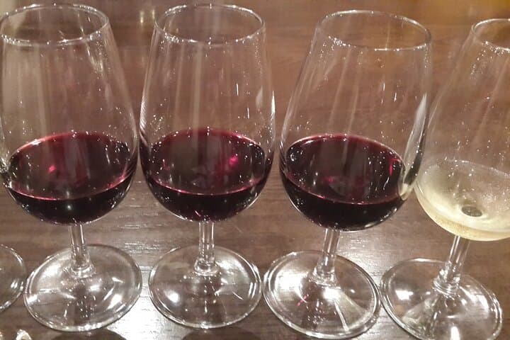 Private Wine Tasting Tour in Constantia, Cape Town