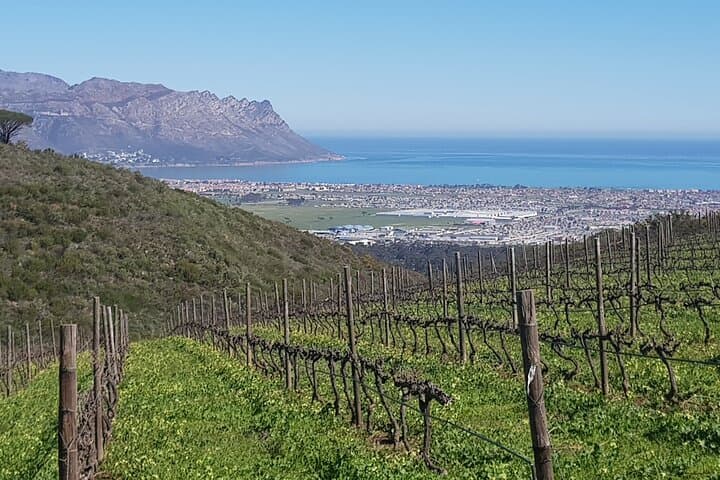 Private Wine Tasting Tour in Constantia, Cape Town