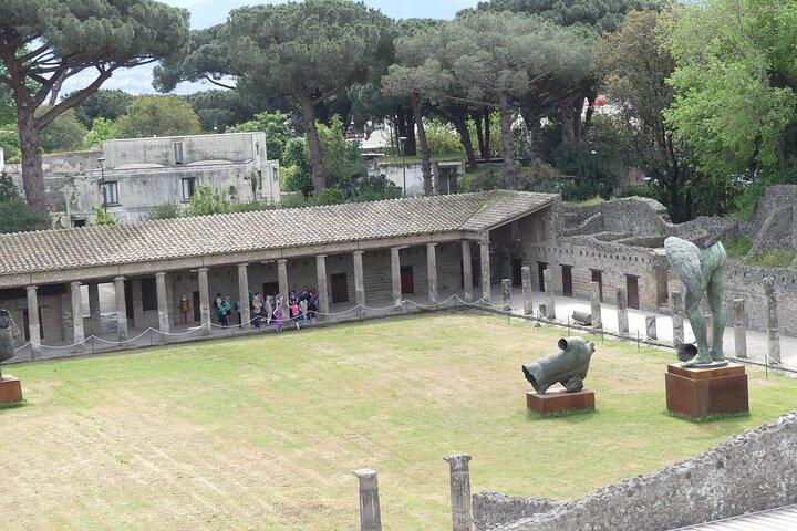 ナポリ発ポンペイ、ヘルクラネウム、ヴェスヴィオ日帰り旅行
