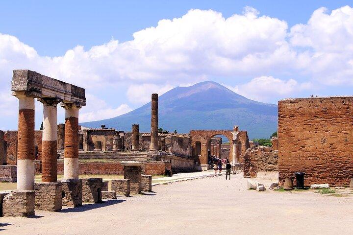 ナポリ発ポンペイ、ヘルクラネウム、ヴェスヴィオの日帰り旅行