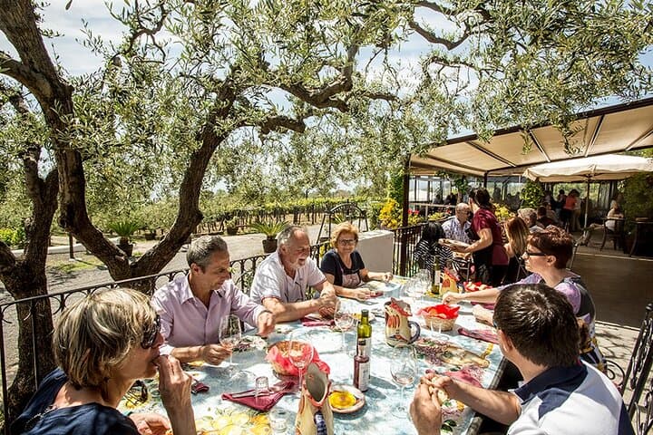 Scenic Wine Tasting & Lunch on the Slopes of Vesuvius from Naples