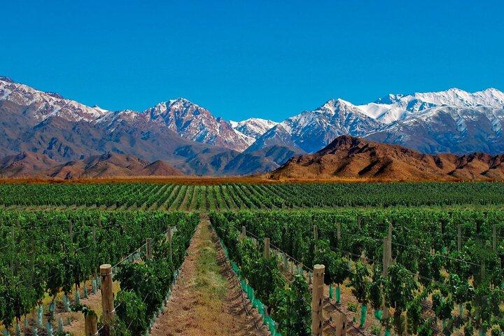 Excursão guiada privada de dia inteiro a Vinicolas de Mendoza