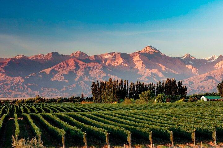 Excursão guiada privada de dia inteiro a Vinicolas de Mendoza