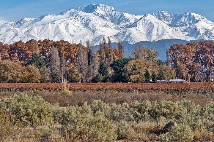 Excursão guiada privada de dia inteiro a Vinicolas de Mendoza