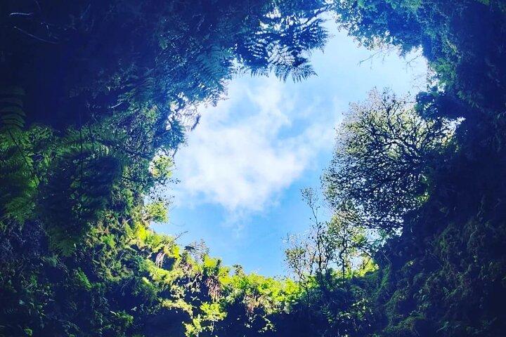 Excursão de meio dia às Grutas