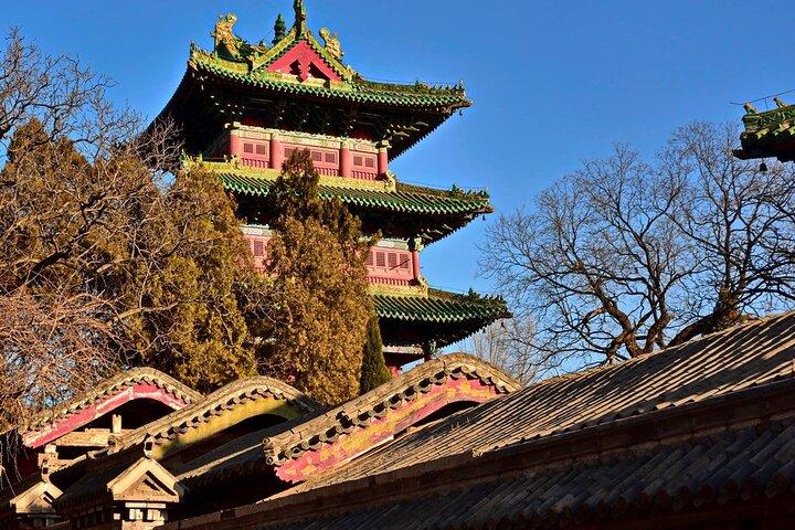 2-dages privat Shaolin Temple og Luoyang City Tour fra Shanghai