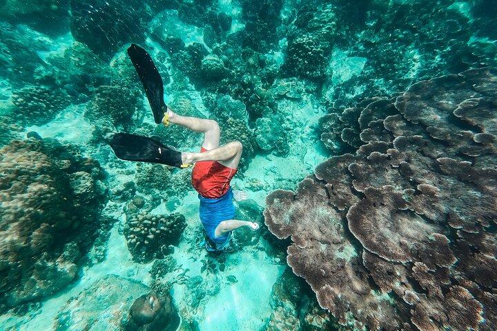 Koh Tao VIP Snorkling Tour
