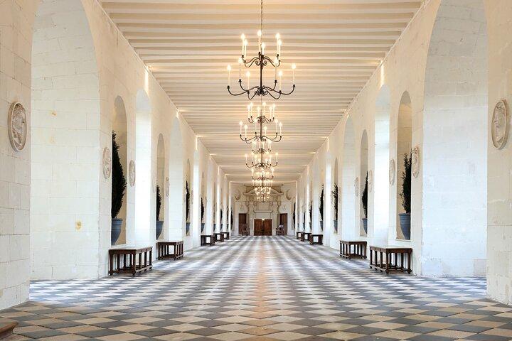 Excursion privée d'une demi-journée au château de Chenonceau dans la vallée de la Loire