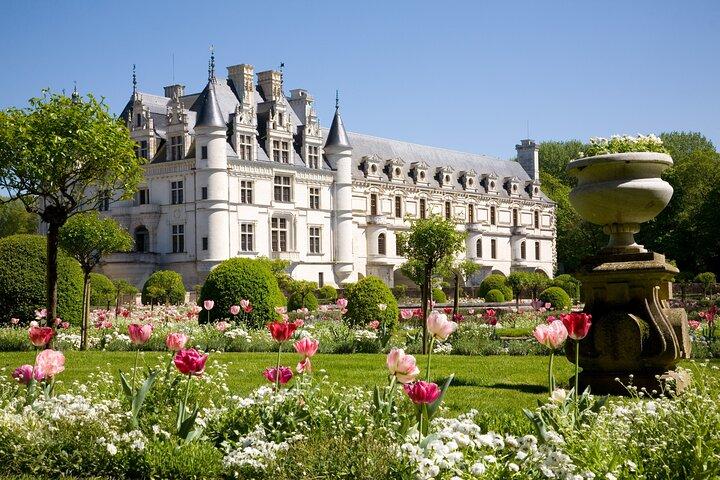 Excursion privée d'une demi-journée au château de Chenonceau dans la vallée de la Loire