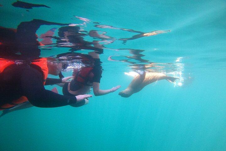 La Paz : Sea lions, virgin beach and lunch with local guides