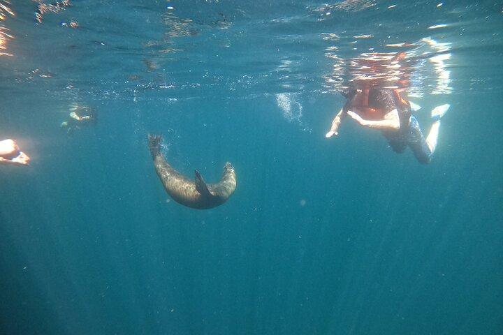 La Paz : Sea lions, virgin beach and lunch with local guides