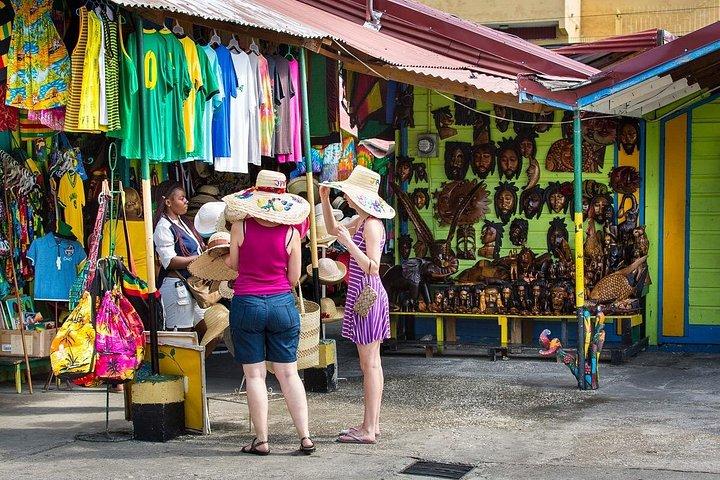 Negril Sunset and Half day Tour from Ocho Rios