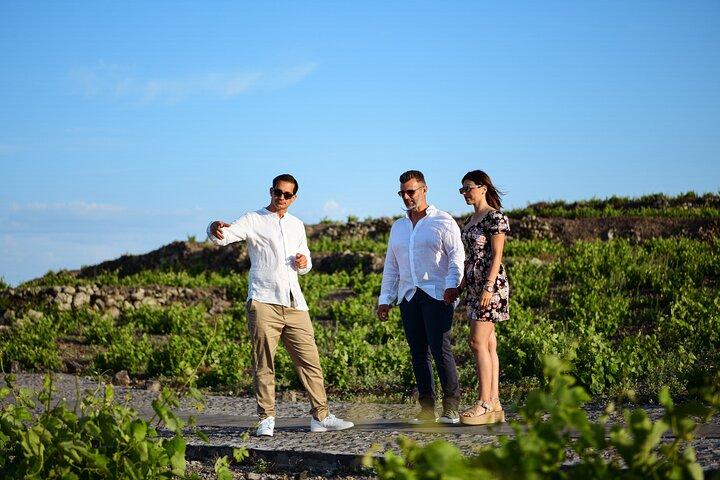 Cata de vinos Premium con vistas a la Caldera