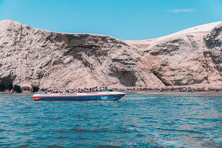 Huacachina & Paracas Heldagstur med Sandboarding & Ballestas