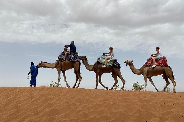 Agadir Camel Ride experience With Barbecue