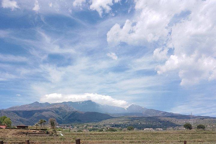 ワイナリーでのワインテイスティングとランチ付きのエトナ山プライベートツアー