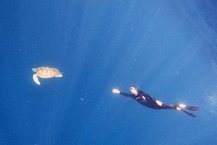 Schnorchelausflug in der Rayas- und Schildkrötenzone