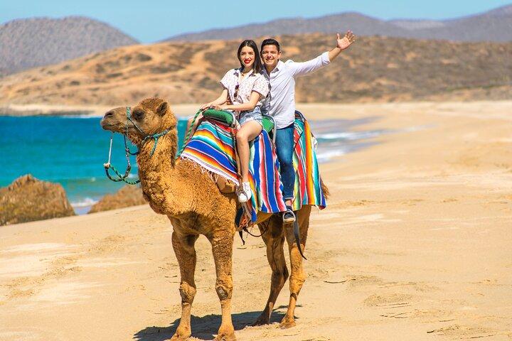 Paseo en camello de 2 horas Experiencia de aventura en la playa y el desierto